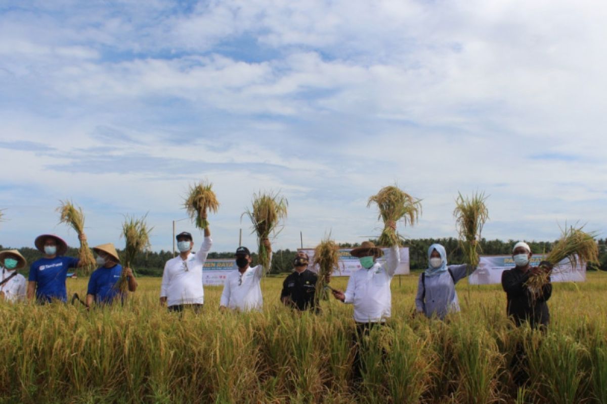 Intani dorong Provinsi Banten jadi produsen pangan nasional