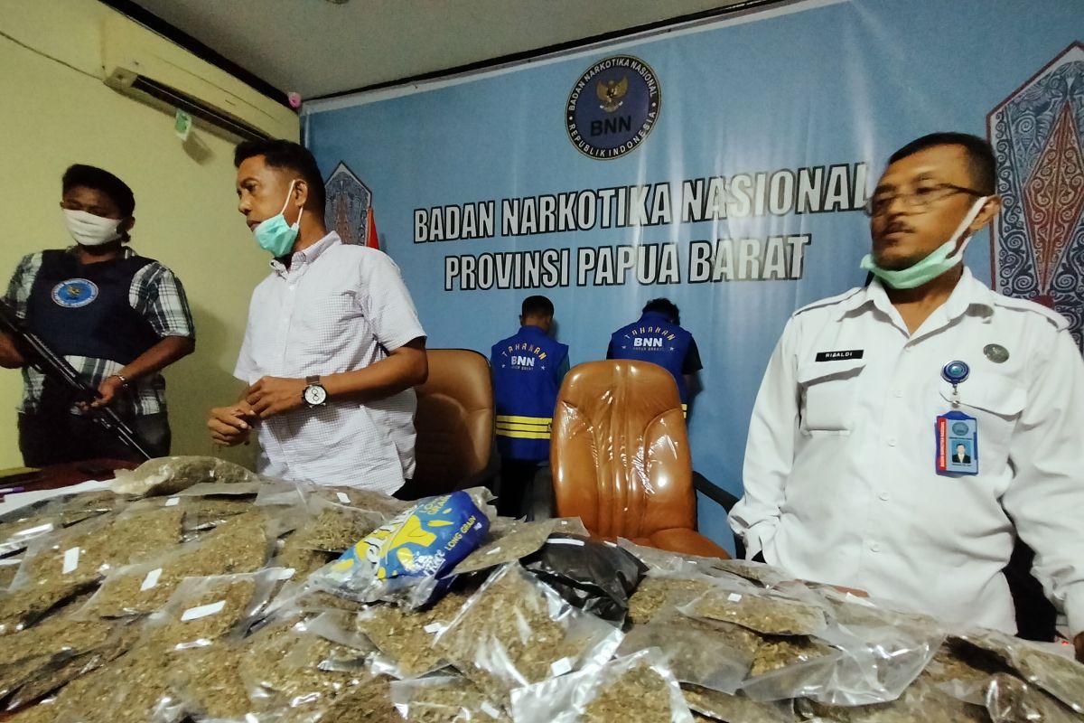 BNNP Papua Barat memusnahkan dua kilogram ganja di Sorong