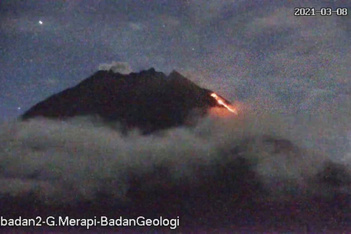 Gunung Merapi  meluncurkan awan panas guguran dengan jarak  1.300 meter