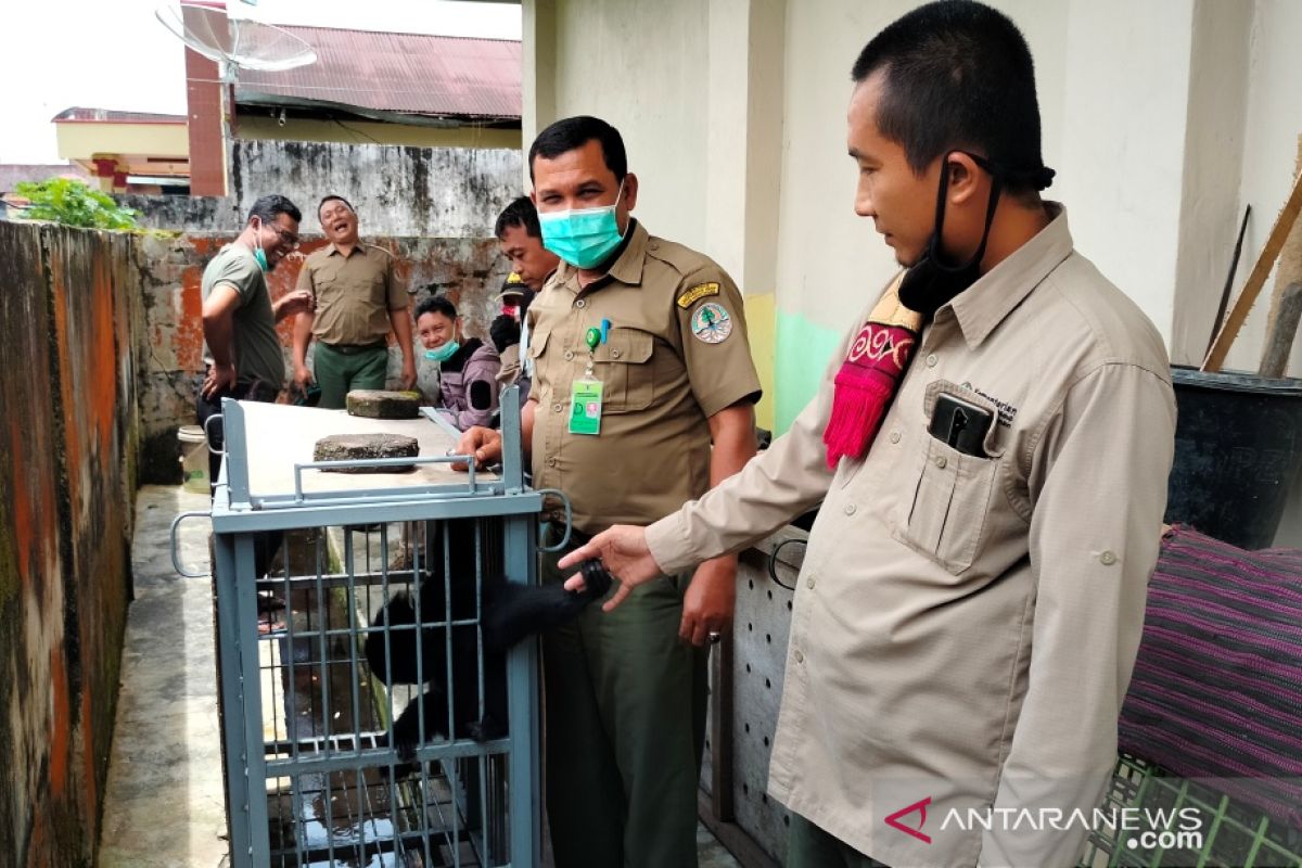 BKSDA minta warga tidak perdagangkan satwa dilindungi