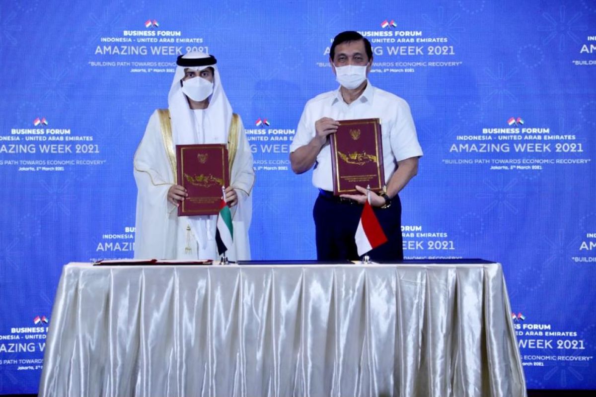 Indonesia, UAE committed to driving economic transformation: minister