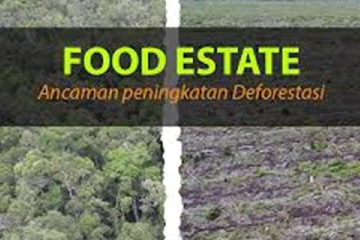 JPIK ingatkan pemerintah, deforestasi hutan Indonesia masih terjadi