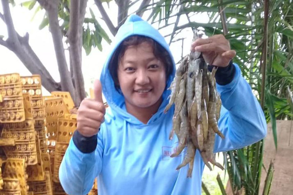 Teknologi eFishery dorong peningkatan produksi budi daya udang dan ikan