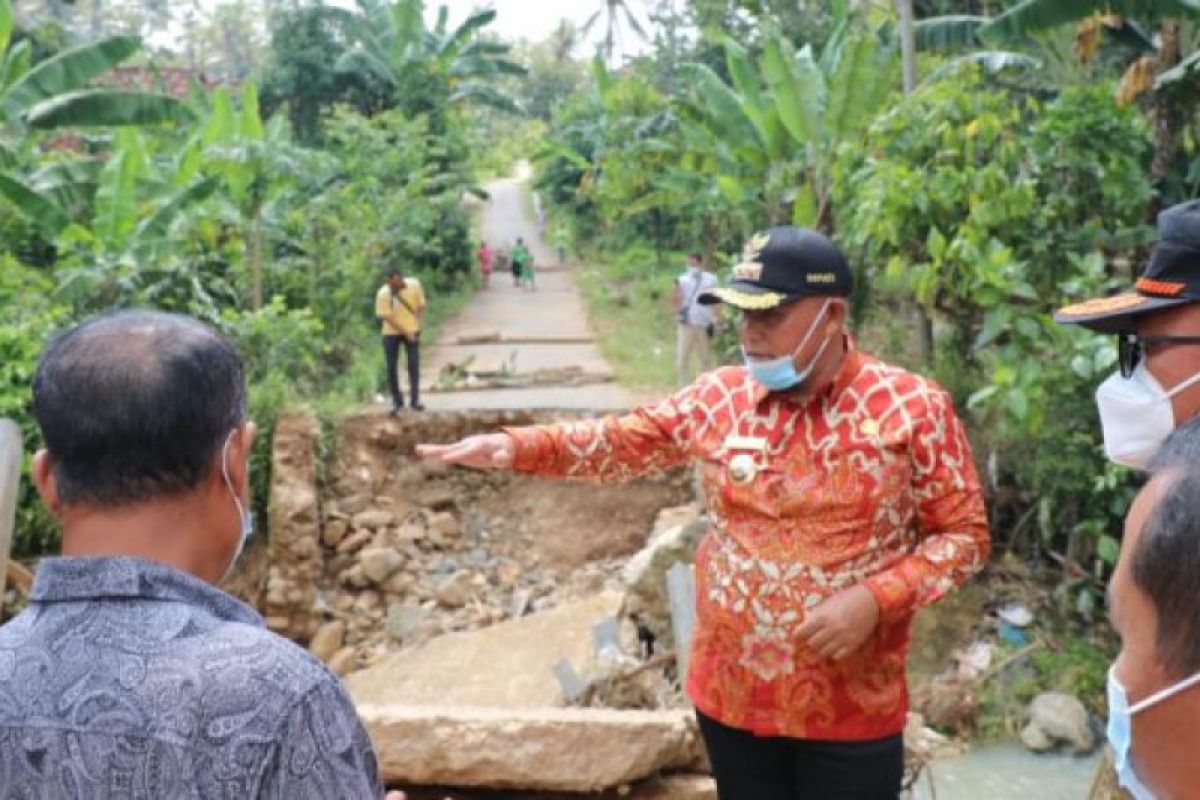 Bupati Lampung Selatan tinjau lokasi jembatan terputus di Desa Mekar Jaya
