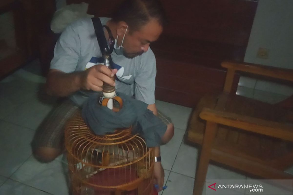 Pengedar di Kota Mataram ini sembunyikan sabu di sangkar burung