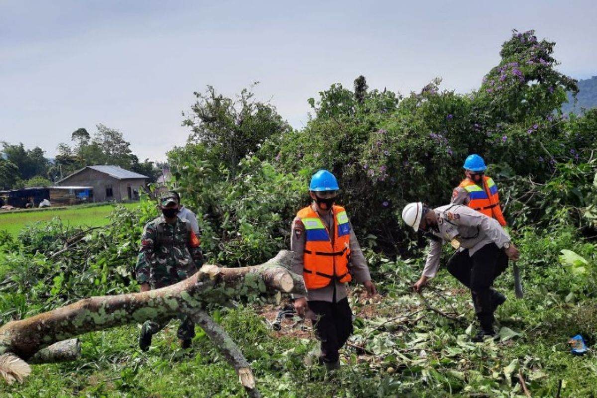 Brimob Sumut turunkan tim bantu korban puting beliung Tapanuli Utara