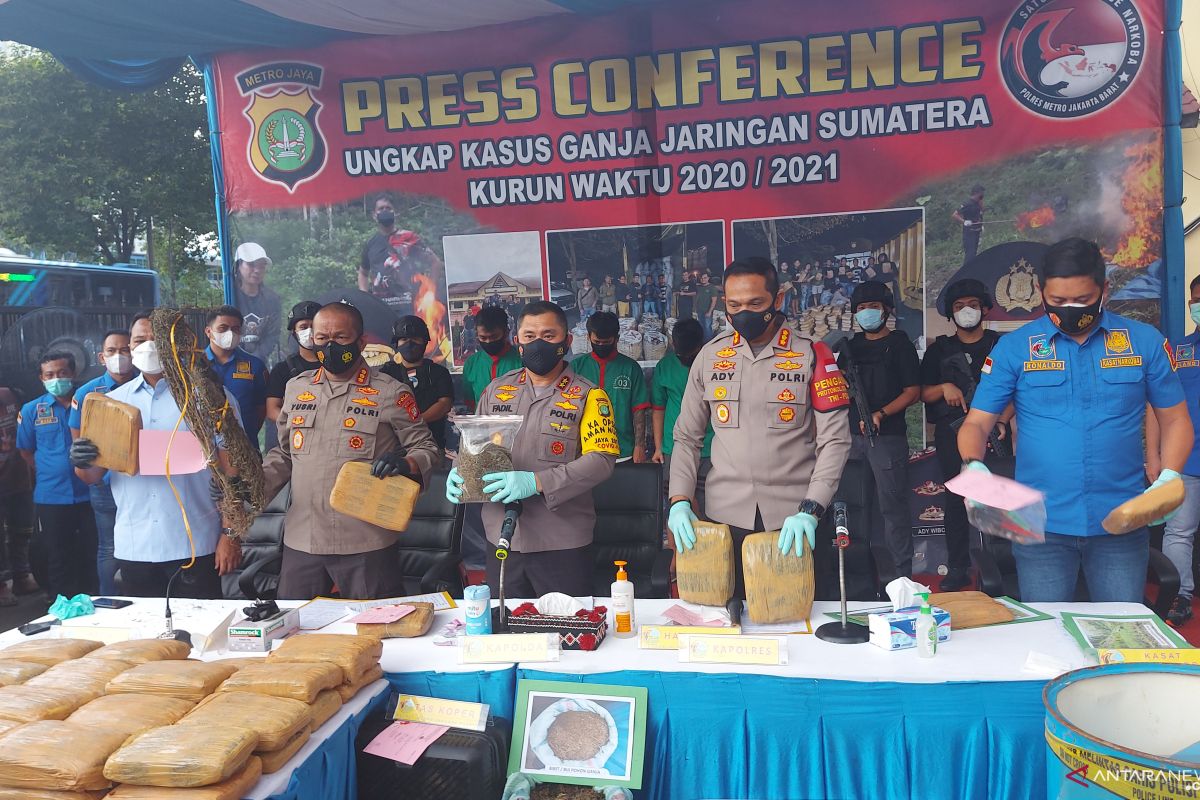 Polres sita 144 ton ganja berikut 12 hektare ladangnya