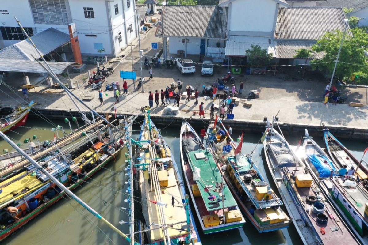 Tujuh orang awak kapal perikanan terlantar di Merauke