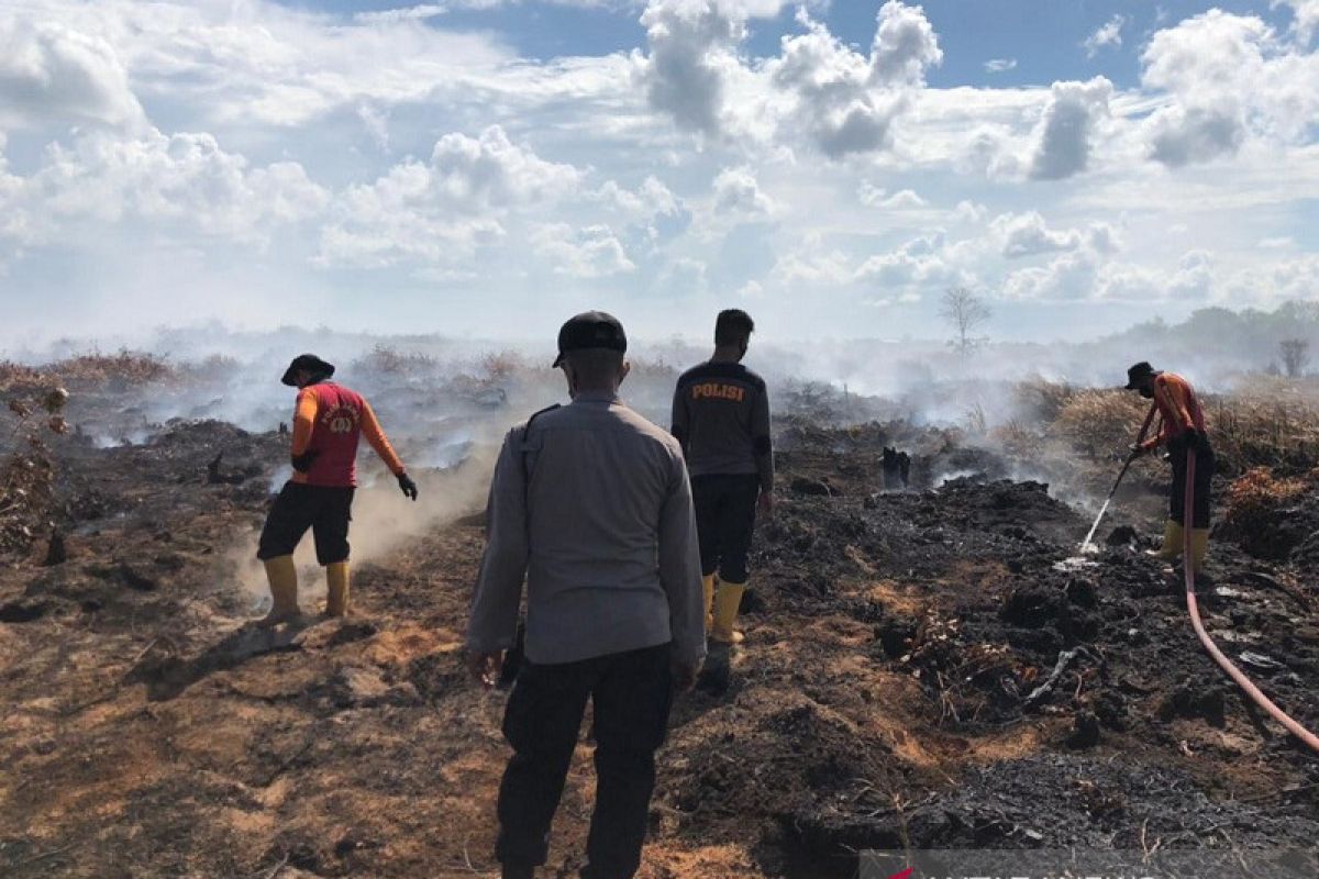 Provinsi Jambi naik status jadi Siaga Darurat Karhutla