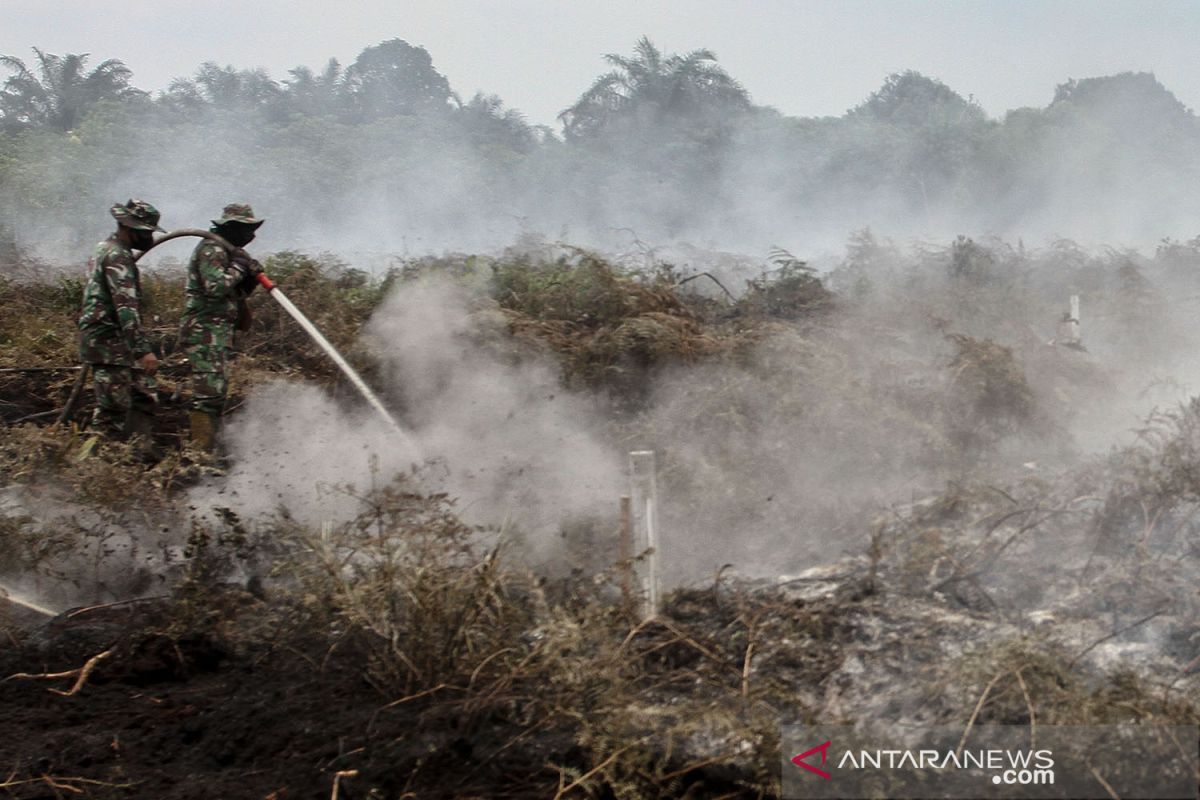 Kabut asap ancam pariwisata di Riau