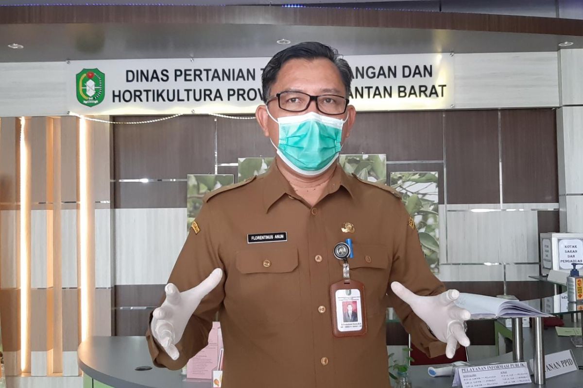 Dinas Pertanian TPH Kalbar sasar mahasiswa jadi petani milenial