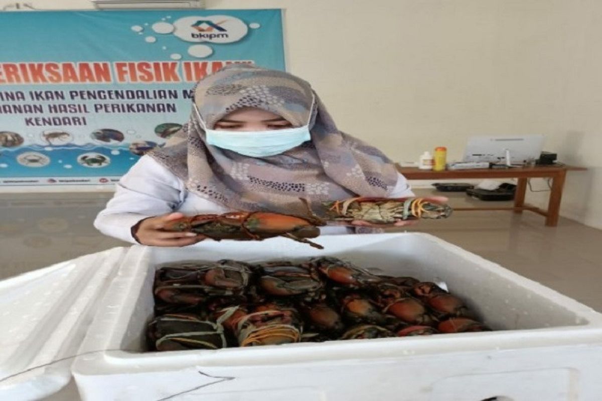 Sultra ekspor 25.300 kepiting bakau ke Singapura