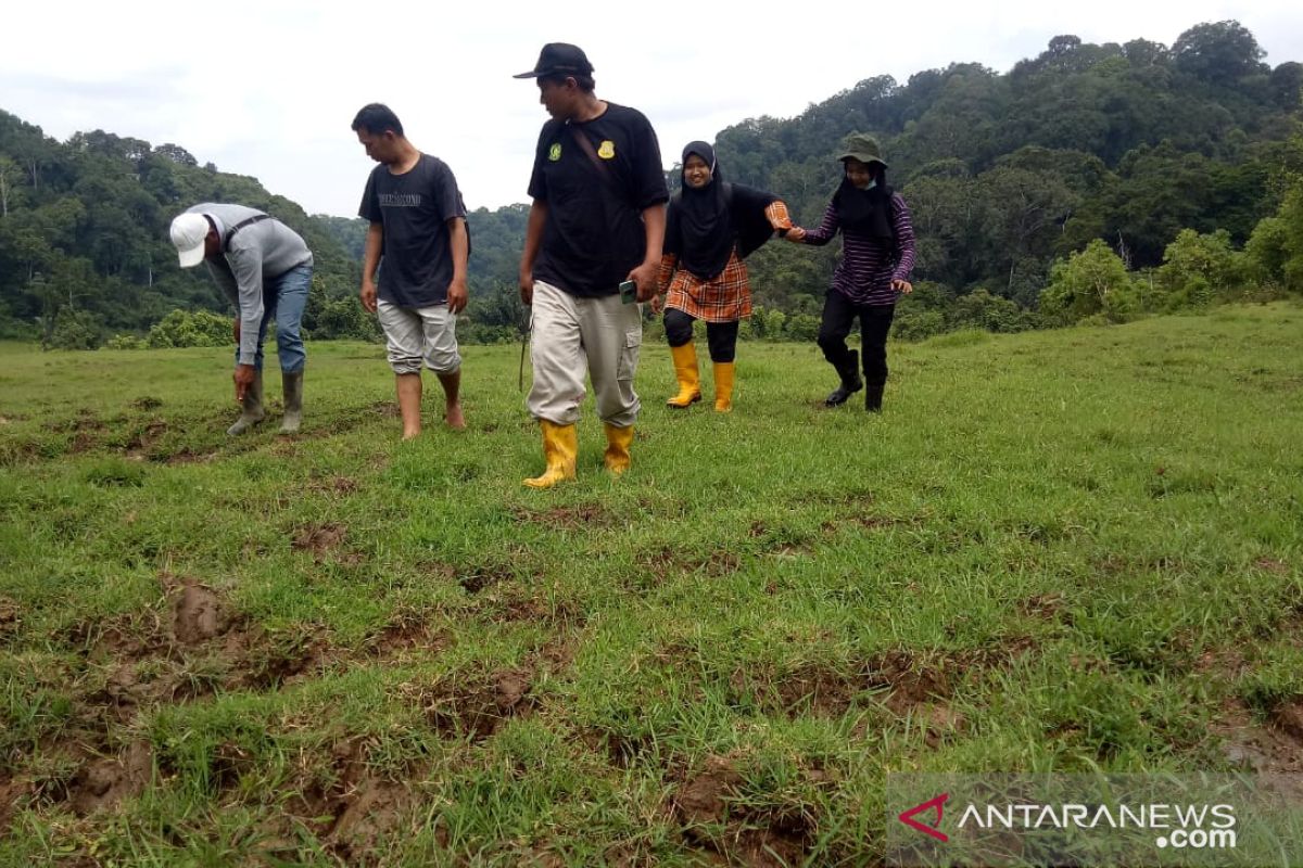 BKSDA Sumbar gelar aksi usir harimau yang memangsa ternak warga Agam