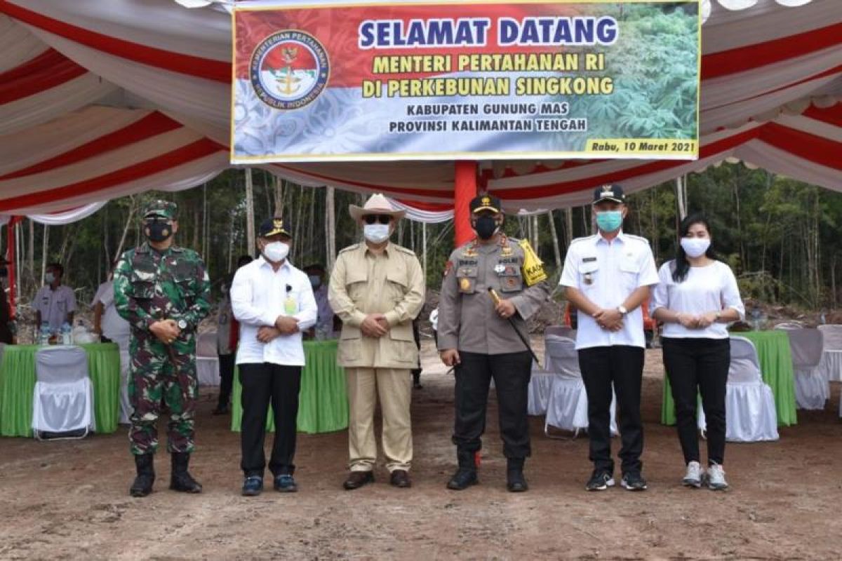 Bupati Gumas: Program food estate sejalan dengan smart agro