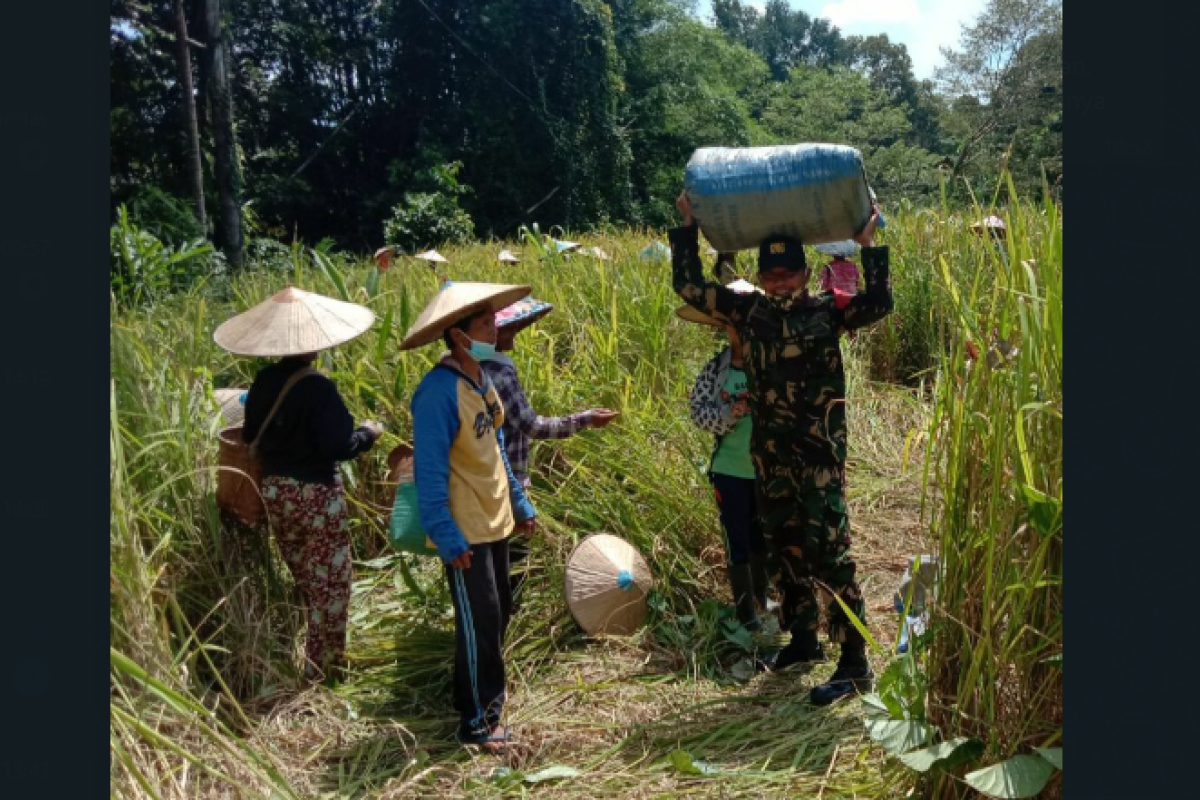 Satgas TMMD ke 110 Kodim 1206/PSB tingkatkan swasembada pangan masyarakat