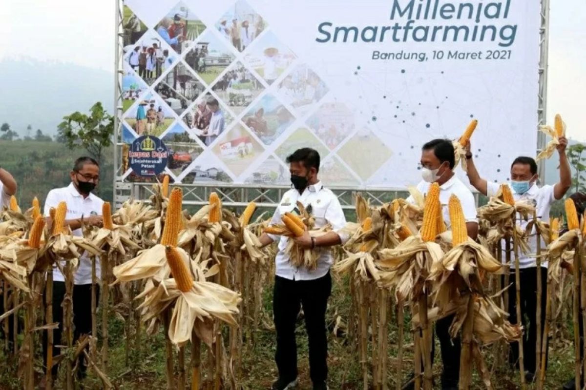 BNI dukung penguatan sektor pertanian dengan Milenial Smartfarming