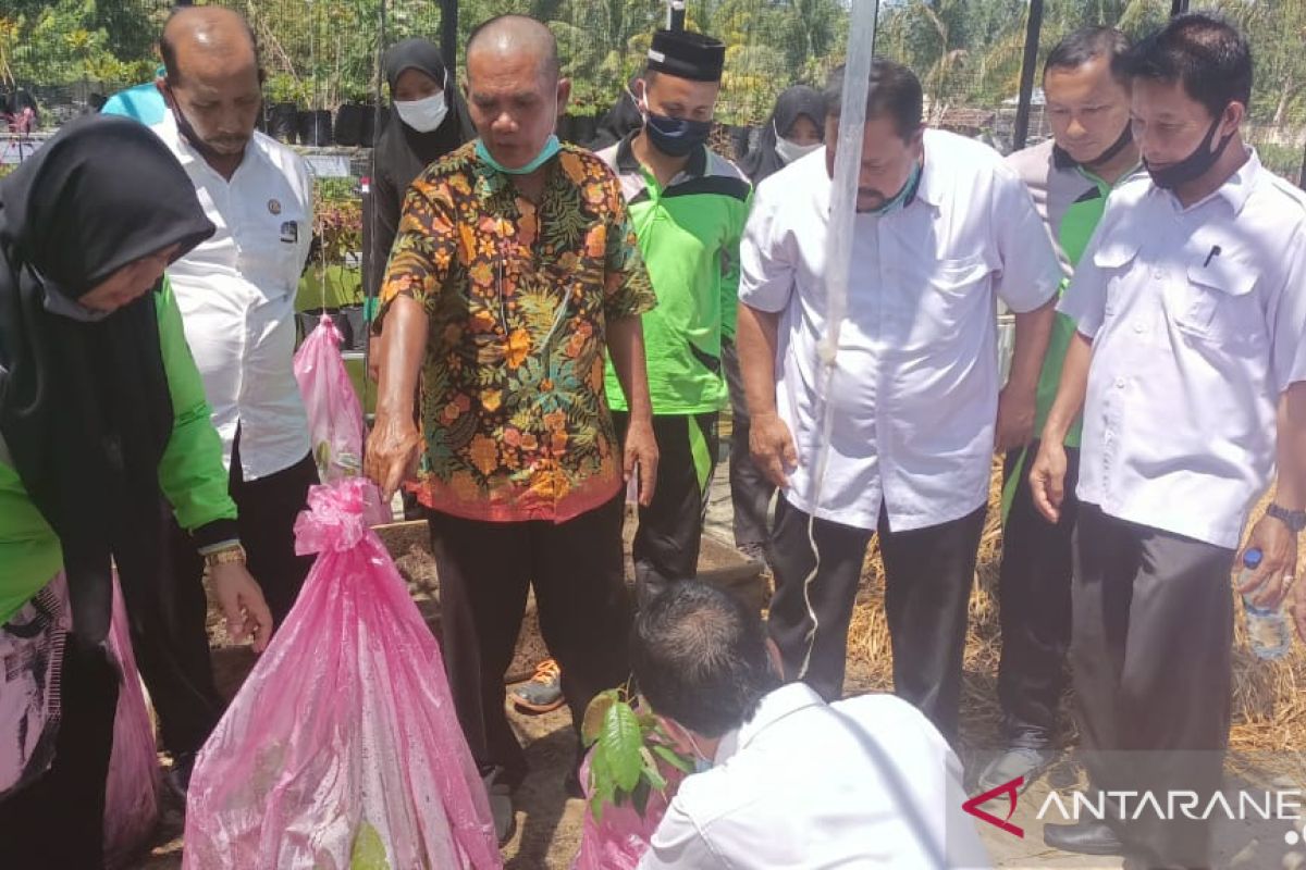 Bupati Abdya ajak generasi muda kembangkan usaha pertanian