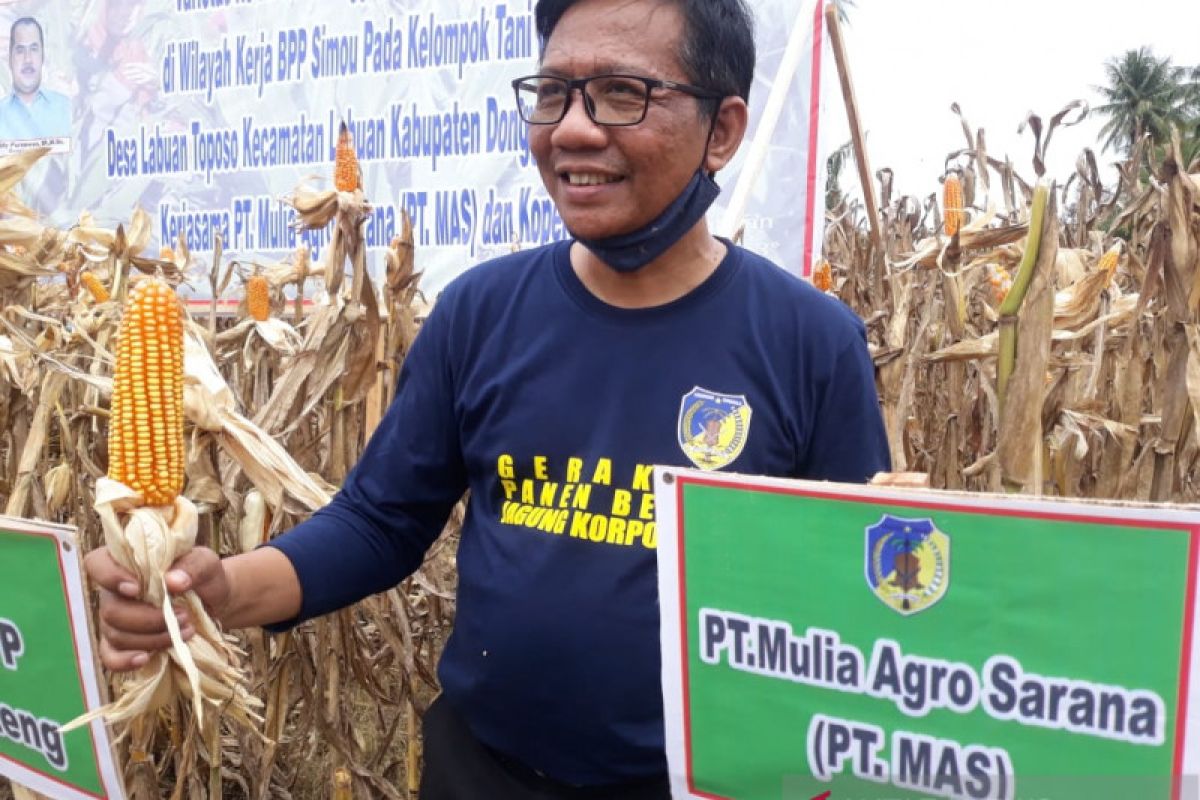 PT MAS dukung pencanangan Donggala menjadi pusat benih jagung