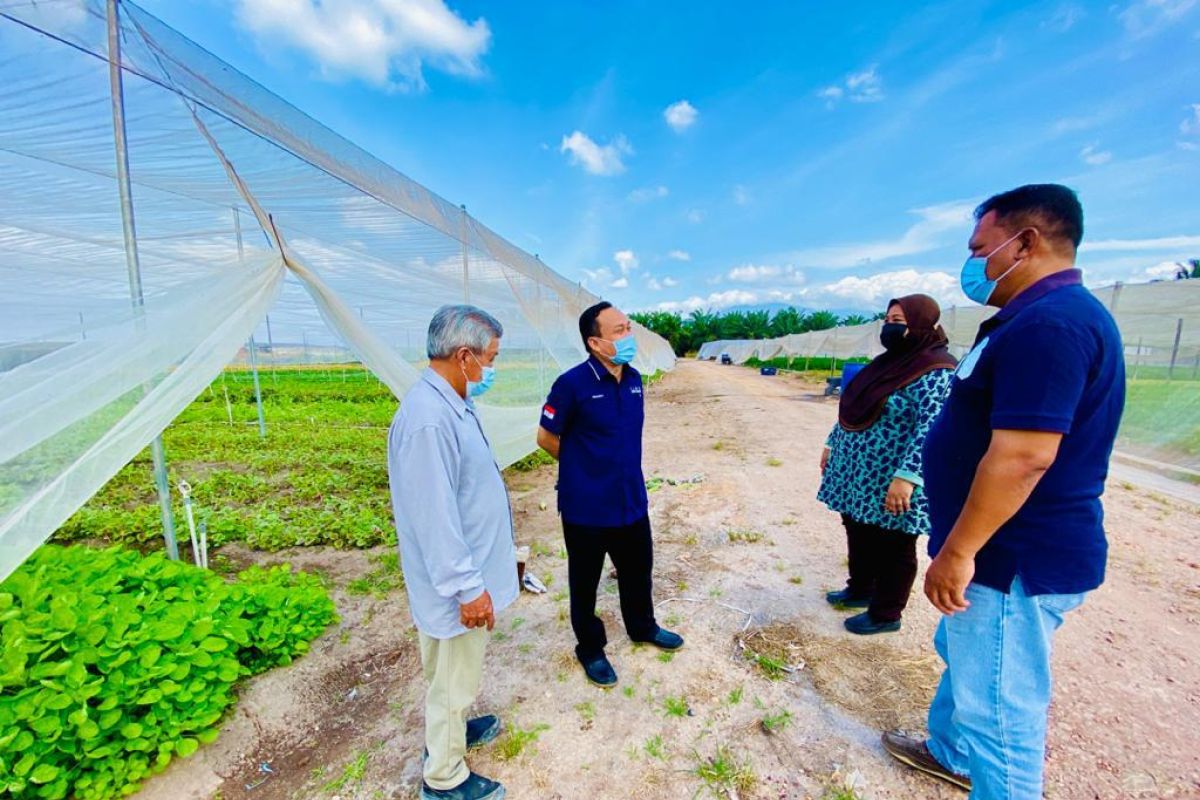 KJRI Johor Bahru beri layanan di ladang sayur Bukit Gambir