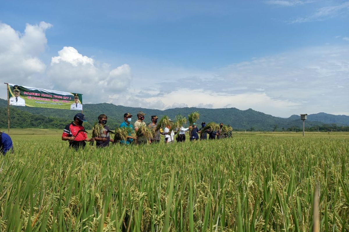 Pemkab Kulon Progo mencetak sawah baru 50 hektare per tahun