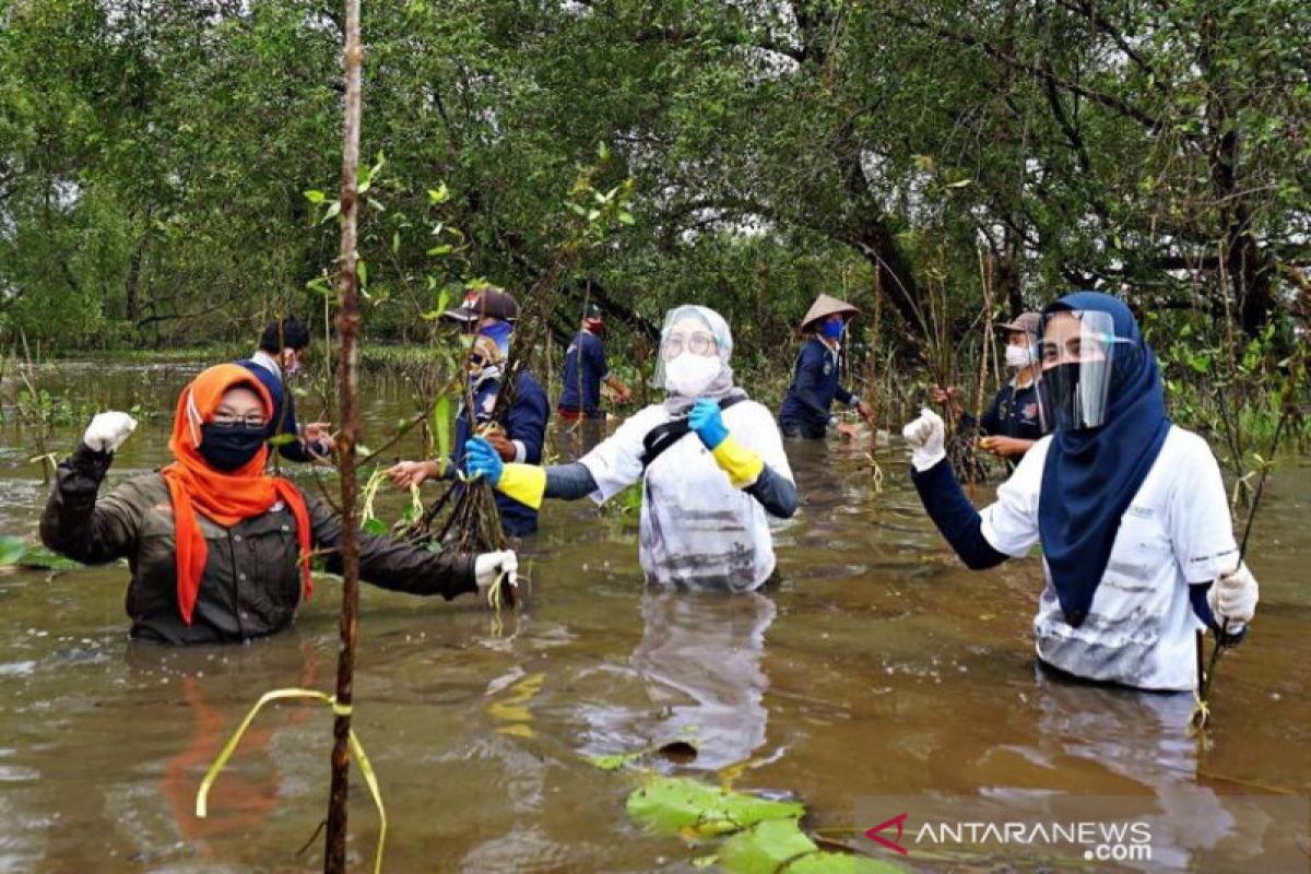 SBI protects wetland ecosystem of bekantan habitat