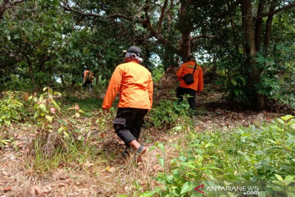 Tiga hari pencarian, lansia hilang di hutan belum ditemukan