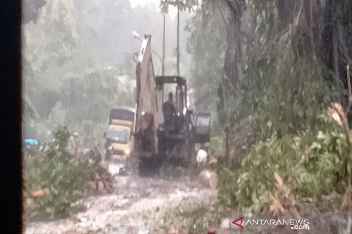 Diawali doa bersama, Pohon Beringin berumur ratusan tahun di Tapsel ditebang