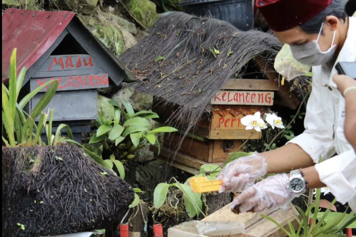 Mereguk manisnya madu melalui perhutanan sosial