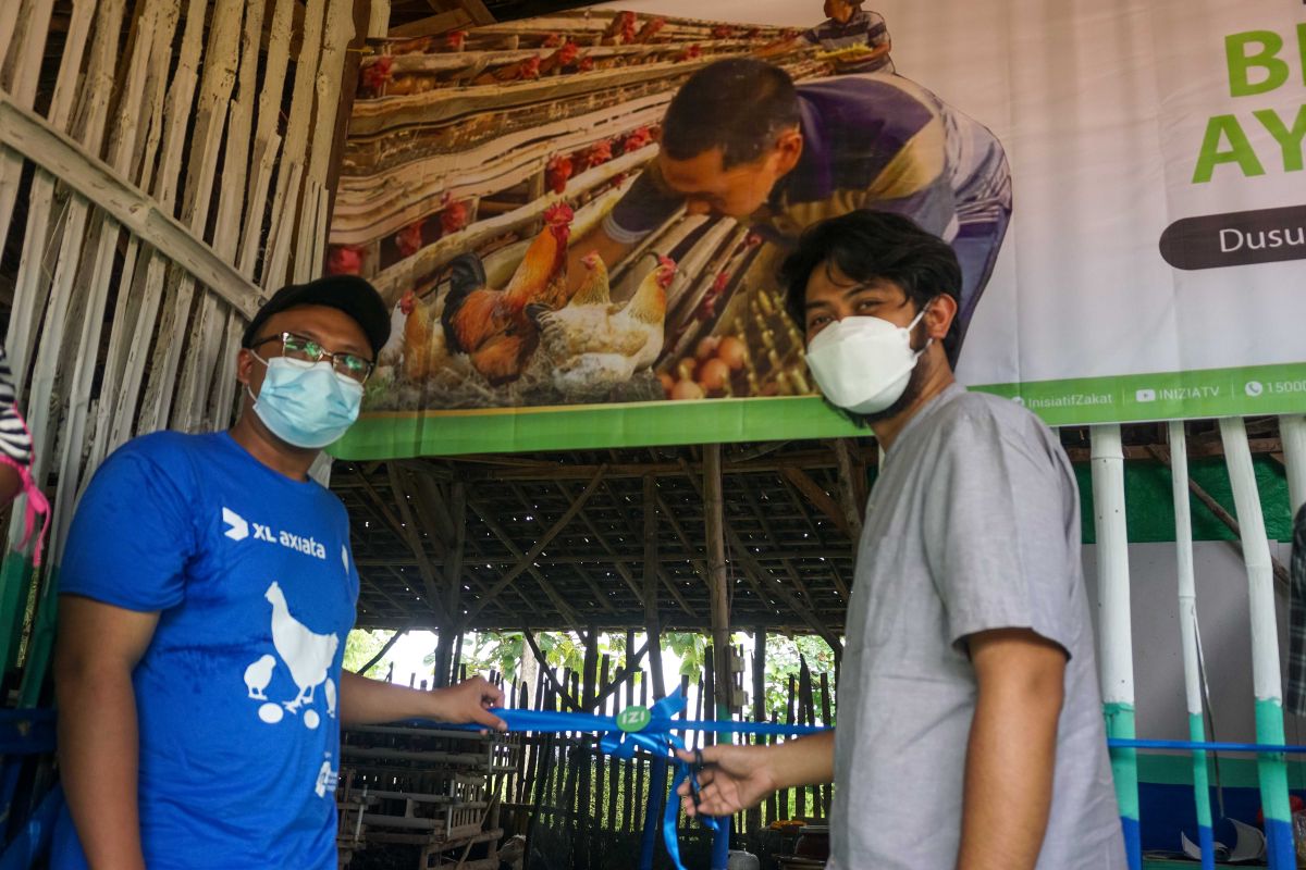 XL salurkan bantuan 1.000 ayam beserta kandangnya kepada peternak Lamongan