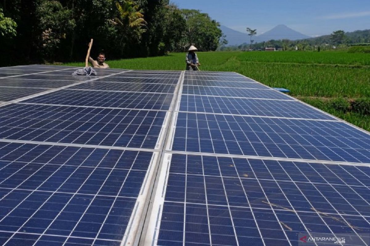 Anggota DPR inginkan pemerintah genjot pemanfaatan listrik dari tenaga surya