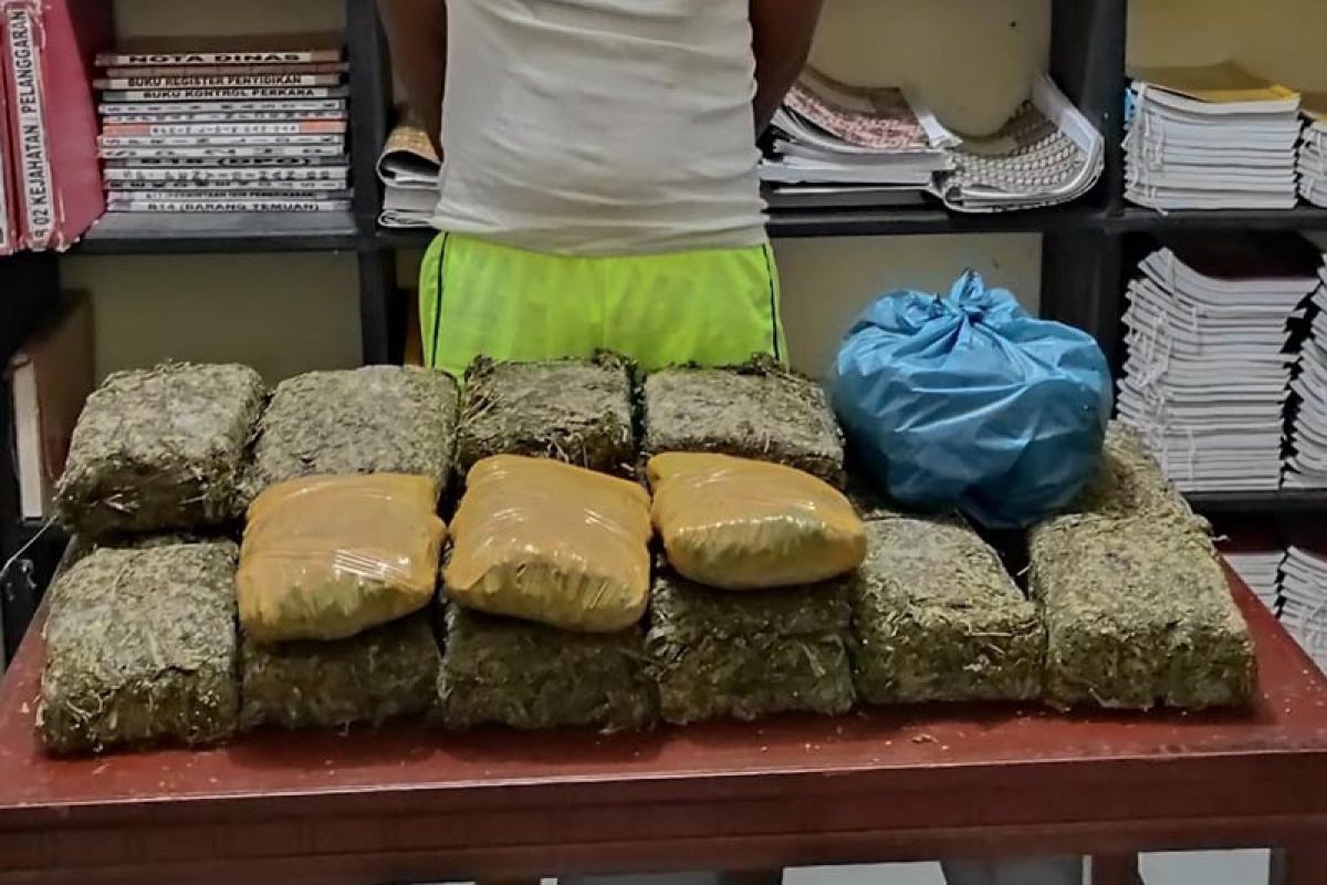 Ringkus bandar narkoba, polisi amankan 20,7 kilogram ganja