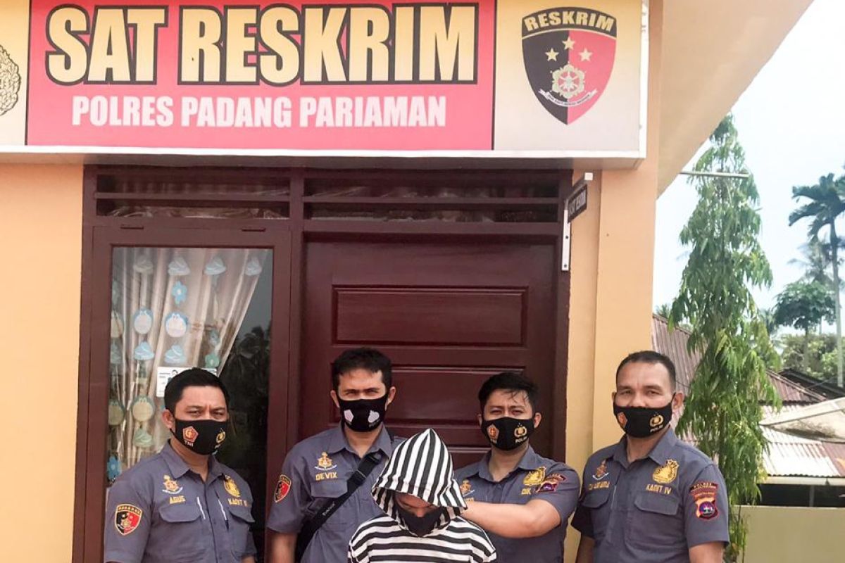 Polres Padang Pariaman tangkap pelaku persetubuhan anak yang masih pelajar