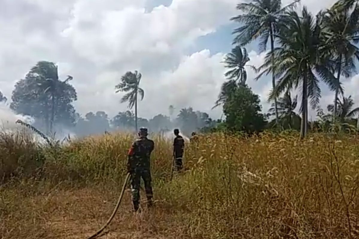 Dalam sepekan terakhir 60 hektare lahan hutan di Bintan terbakar