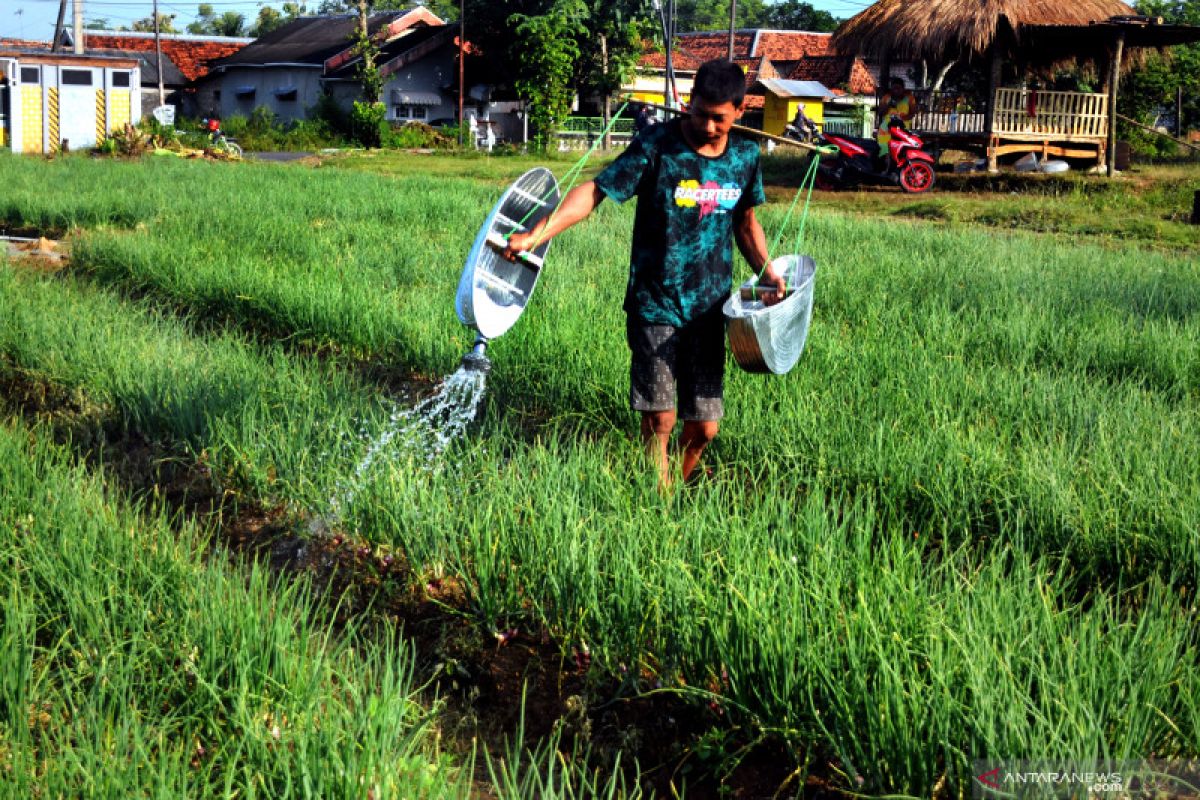 Bank Mandiri beri akses permodalan bagi petani