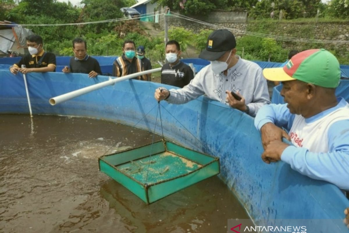 NTB menggalakkan budidaya udang vaname dengan sistem bioflok