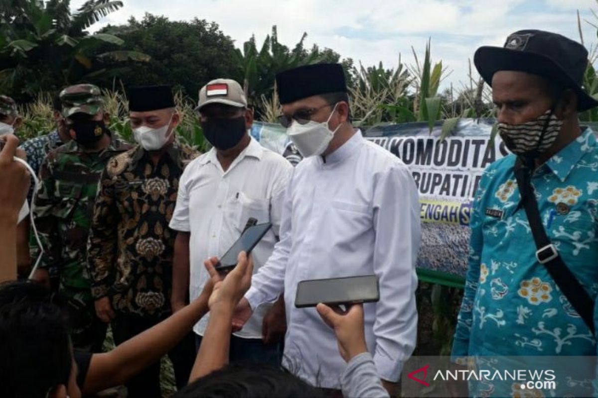 Bupati Bangka Tengah ingin Kecamatan Lubuk Besar jadi sentra pertanian