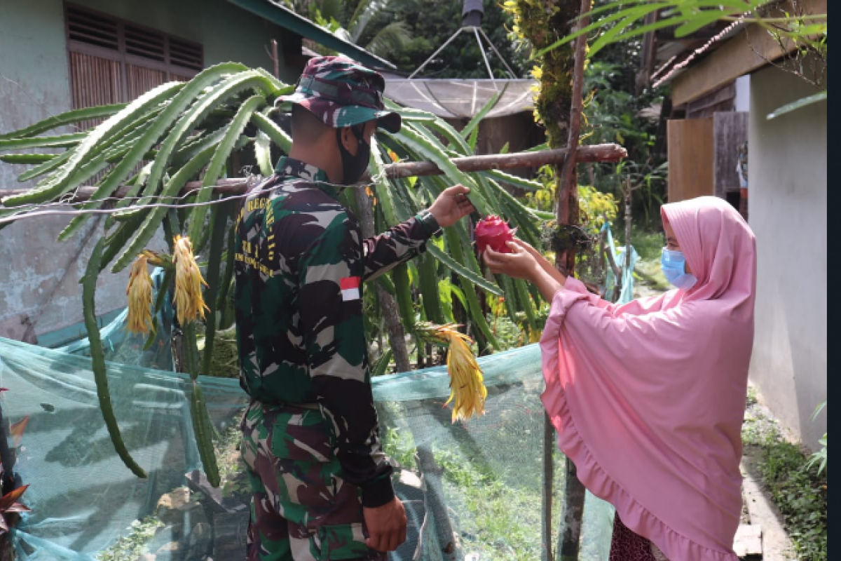 Akses jalan TMMD 110 Kodim 1206/PSB bahagiakan petani Buah Naga