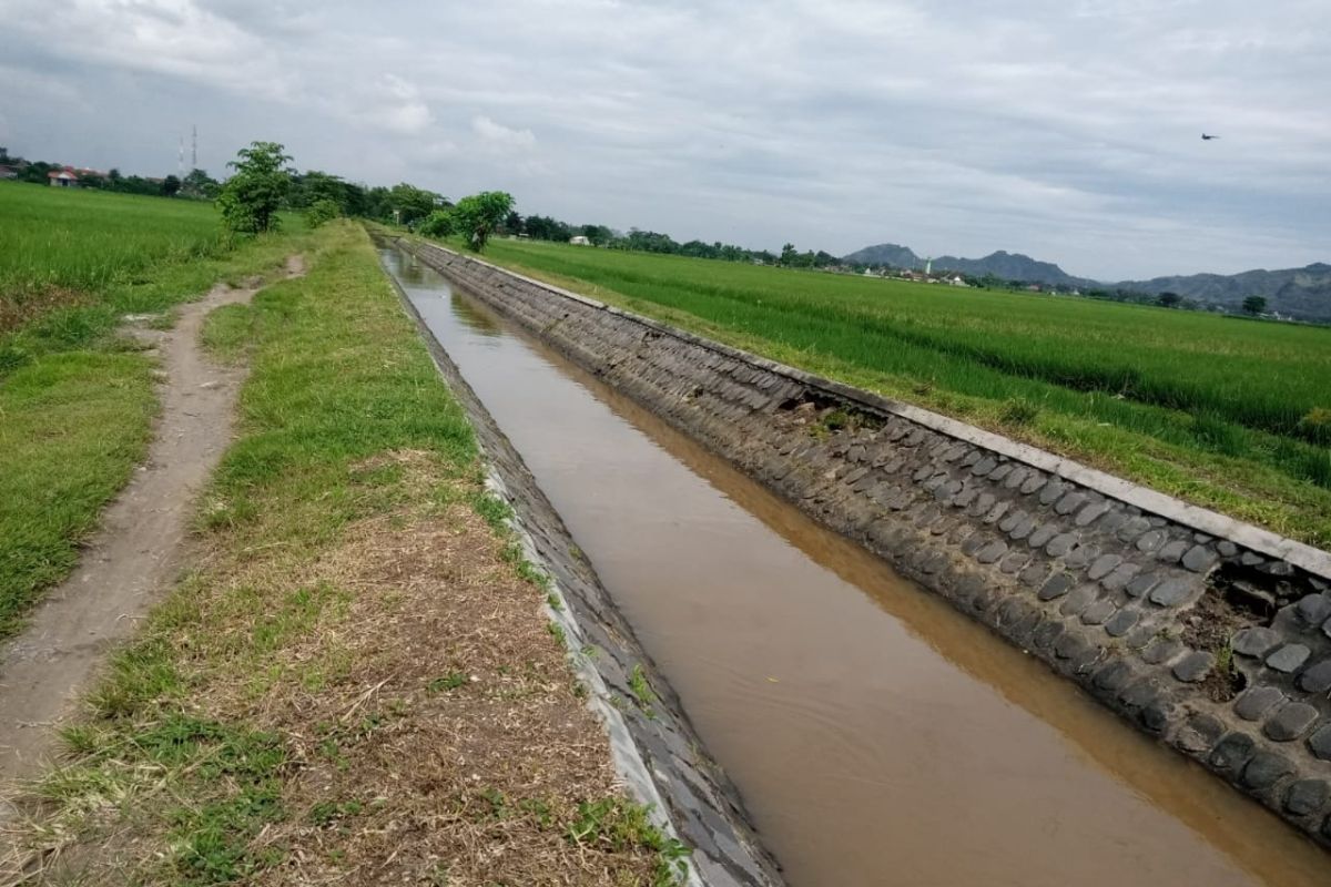 Alokasi air irigasi untuk pertanian di Tulungagung menyusut 40 persen