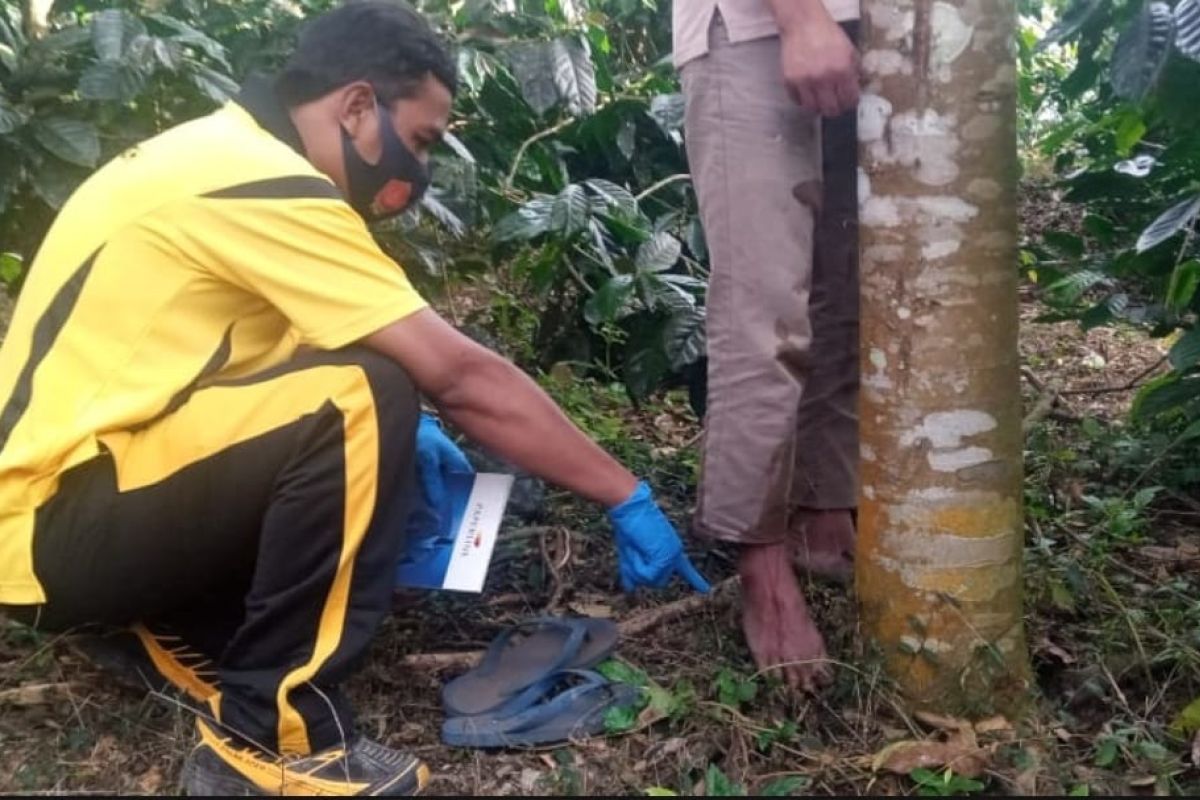 Seorang pemuda di Bener Meriah tewas tergantung di pohon durian