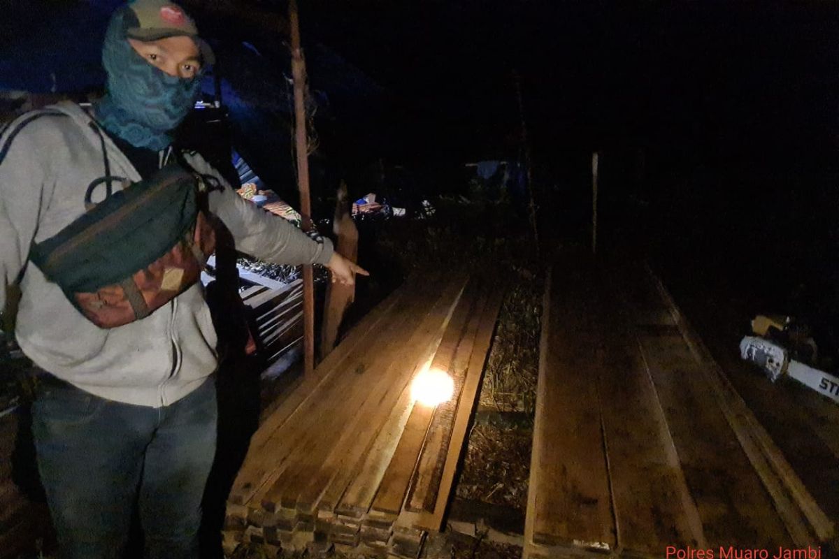 Tim gabungan temukan peralatan pembalakan liar di kawasan hutan Muarojambi