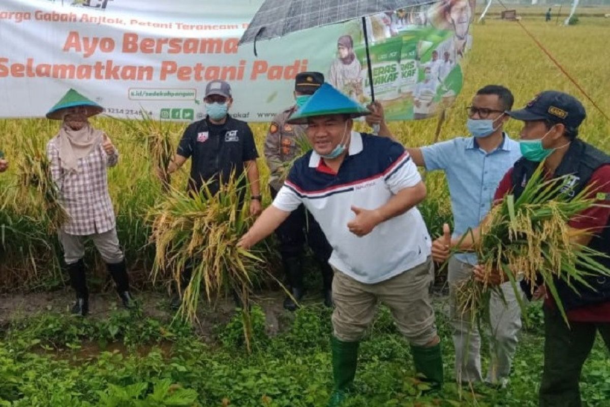 ACT beli gabah petani Blora dengan harga di  atas pasaran