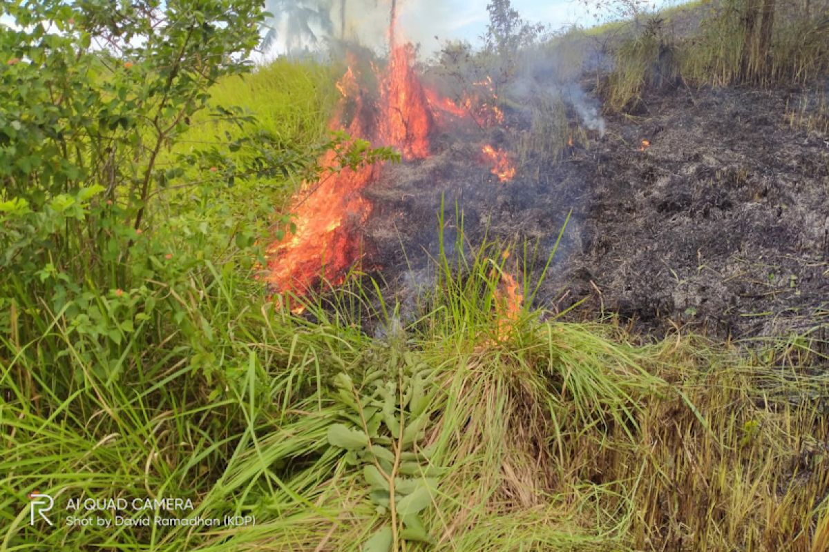 Kebakaran lahan panikan warga Lhokseumawe