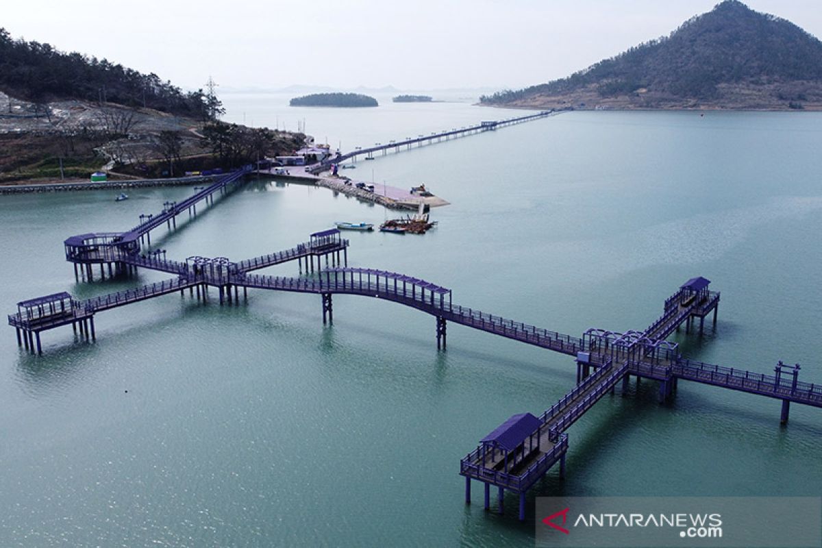 Pulau di Korea Selatan jadi serba ungu untuk menarik hati turis