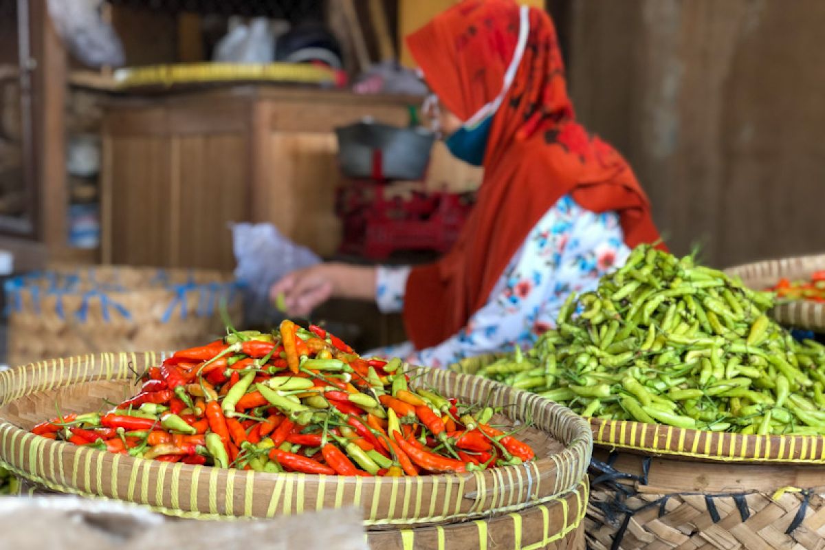 Harga cabai di pasar tradisional Yogyakarta tembus Rp120.000 per kilogram