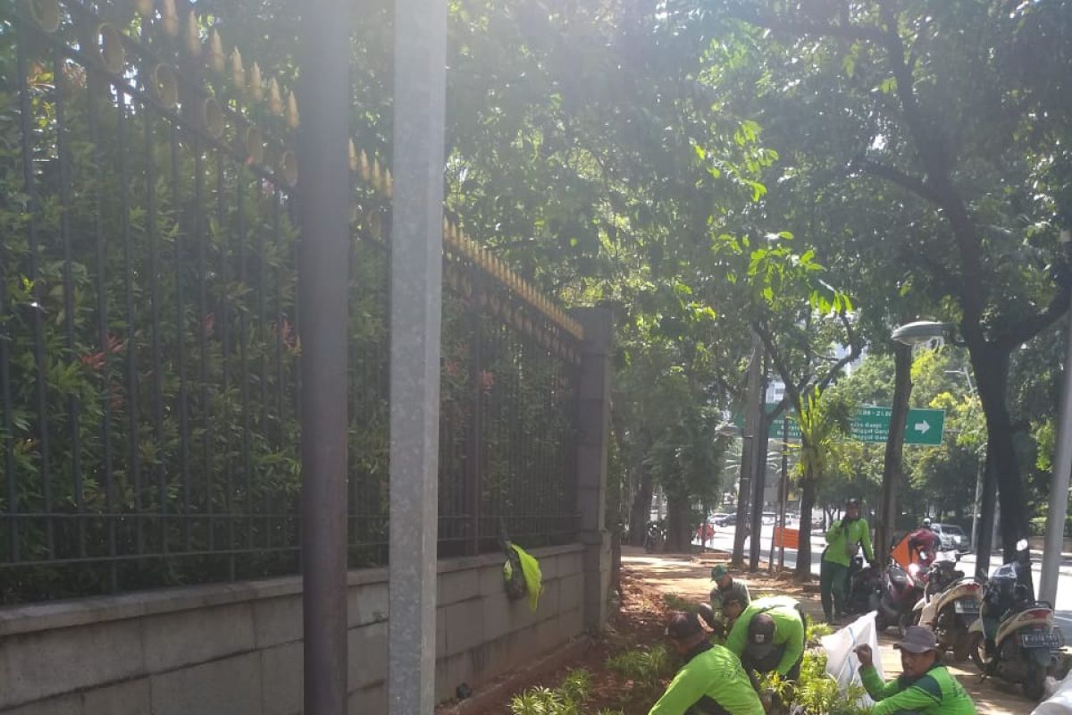 150,000 plants to be planted along roadsides, graveyard in C Jakarta