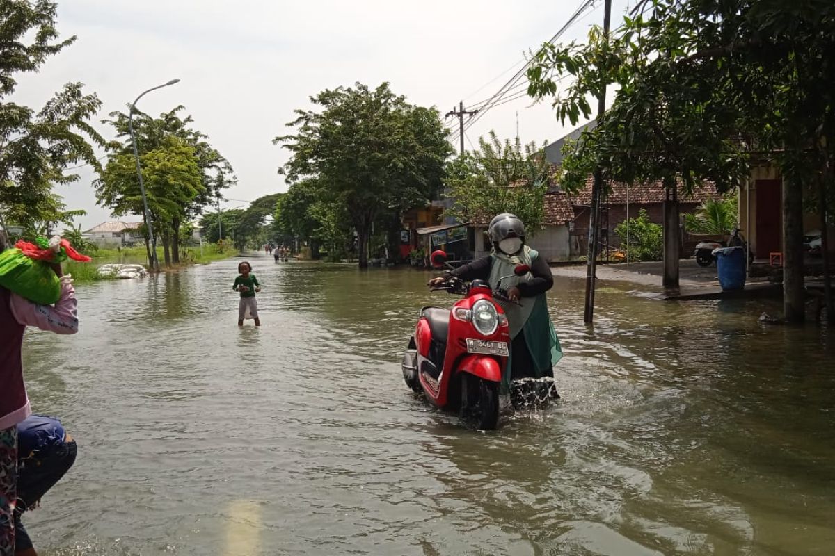 Banjir di Gresik meluas hingga merendam empat kecamatan