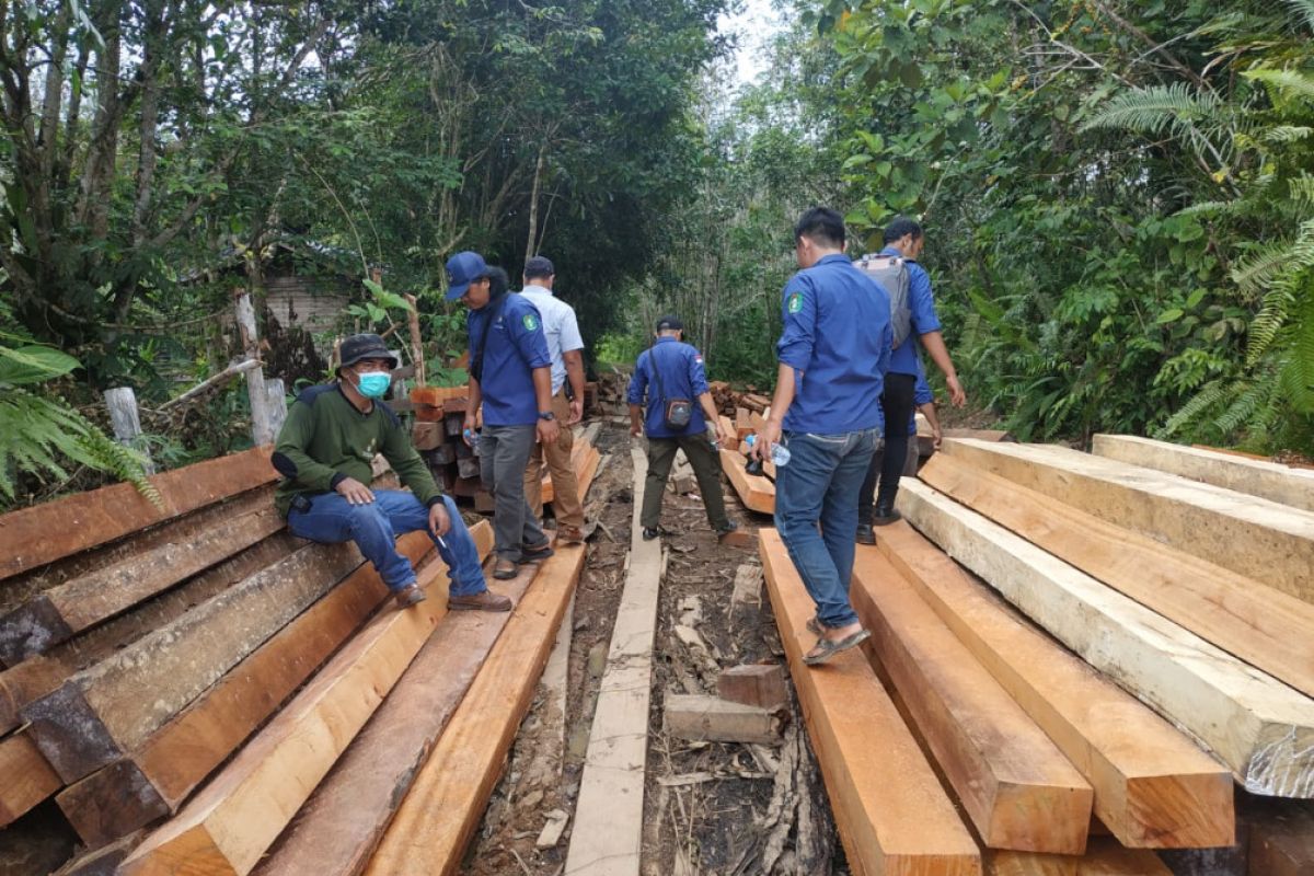 KPH: Semua aktivitas pengolahan kayu wilayah Kapuas Hulu Utara ilegal