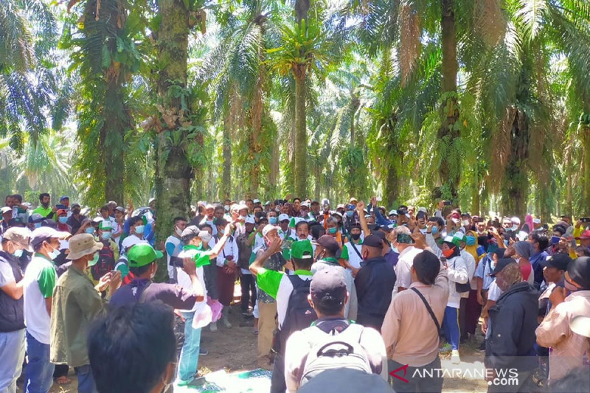 Ratusan warga duduki lahan PT Agri Andalas di Seluma