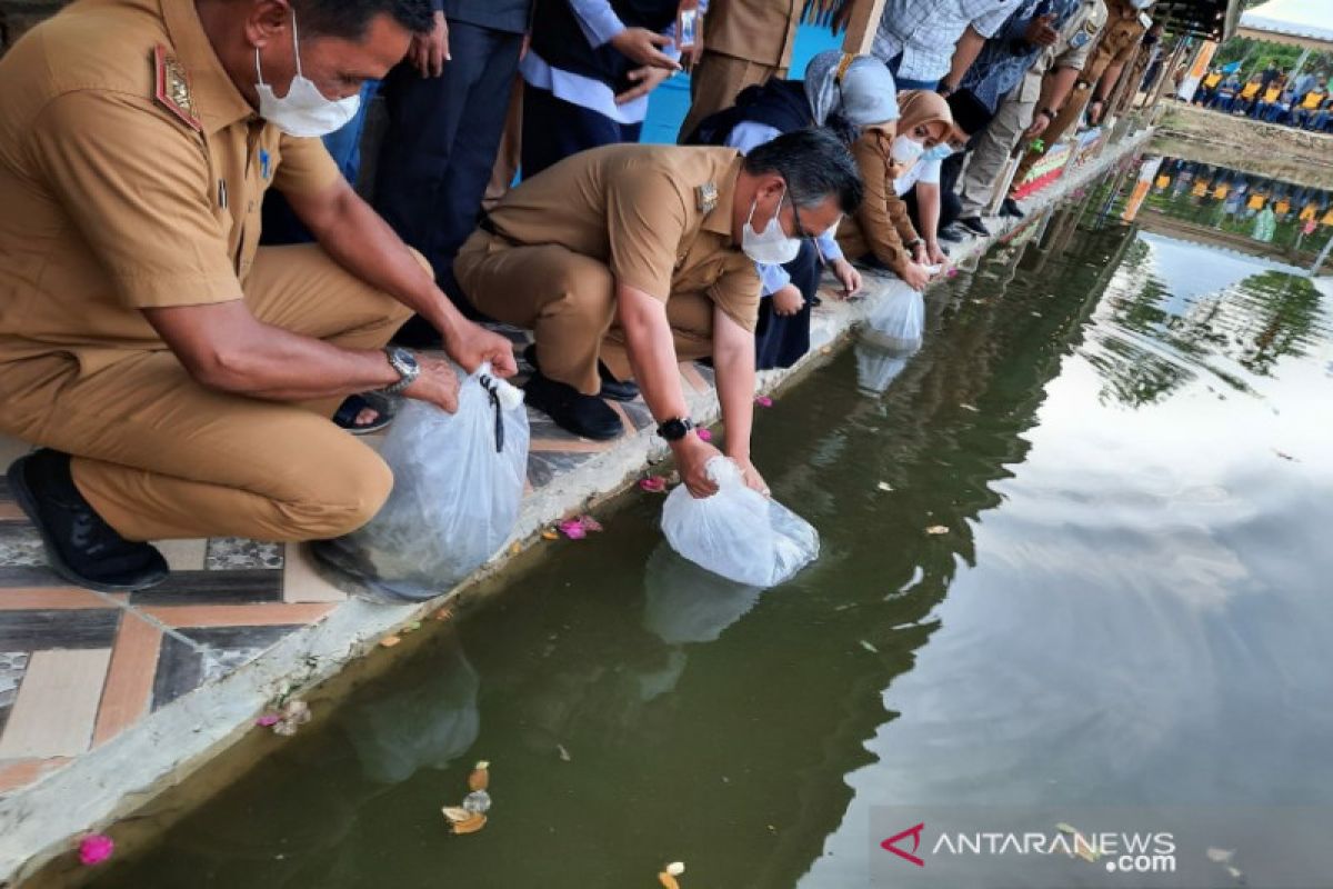 Pacu ekonomi warga saat pandemi COVID-19 lewat budidaya ikan air tawar