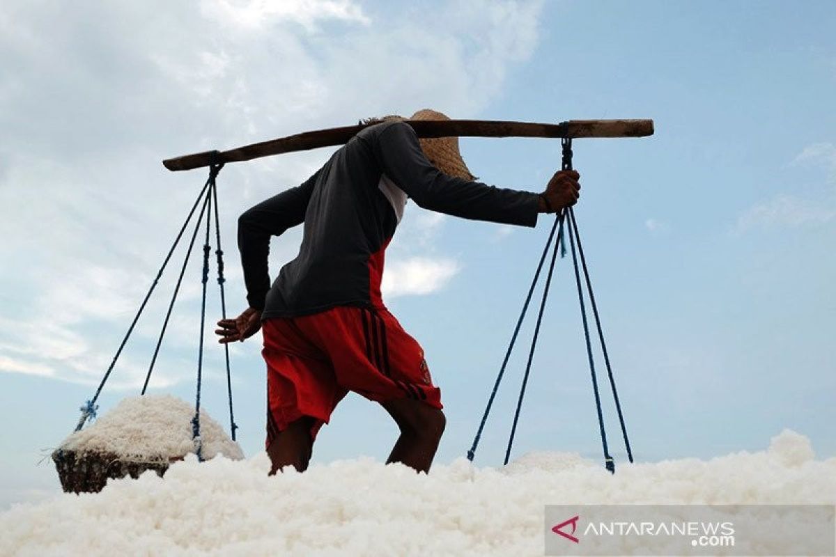 Memaksimalkan penyerapan garam hasil produksi petambak negeri ini